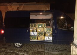 Sbírka potravin_11.11.23_16